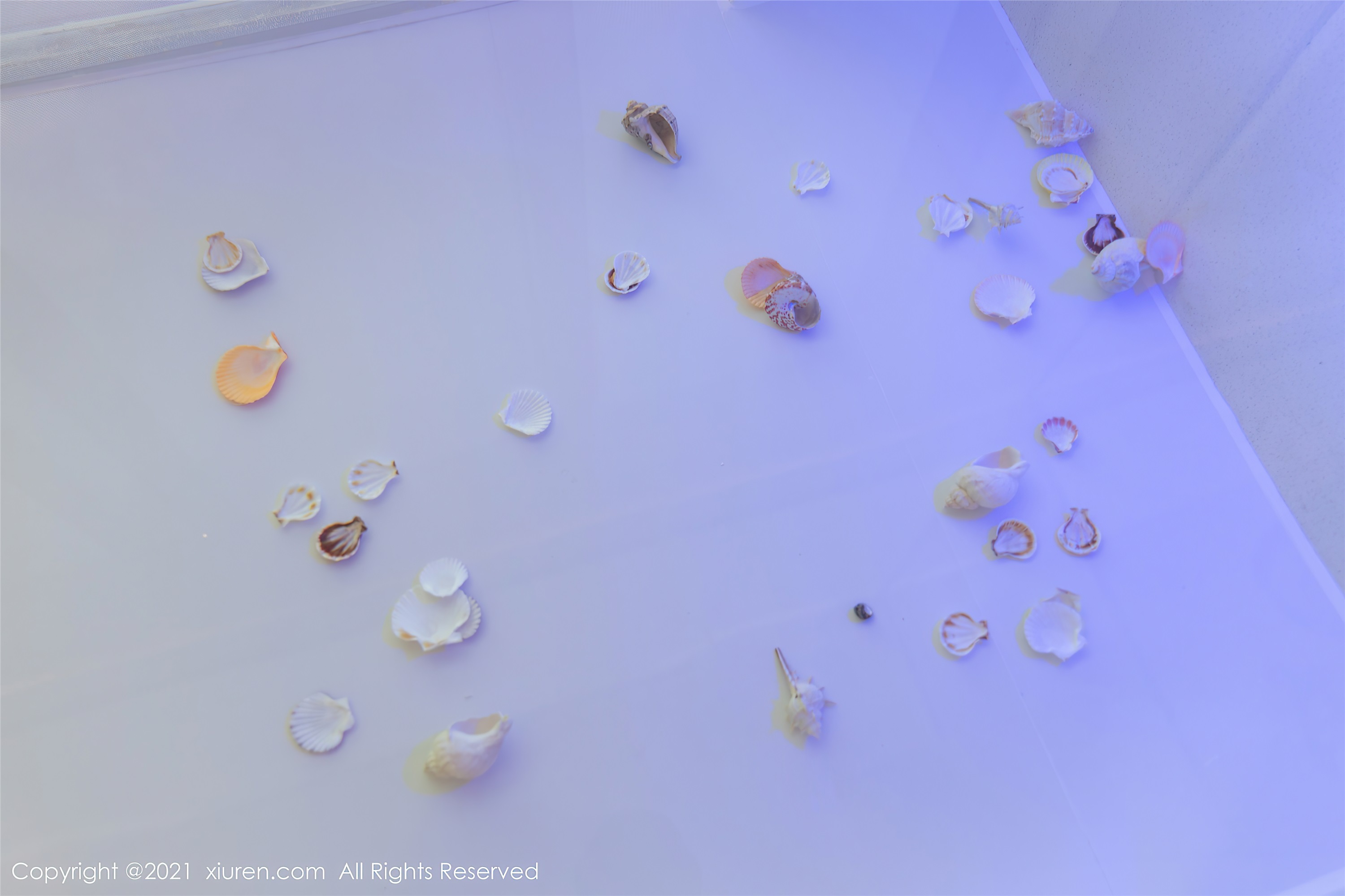 Xiuren秀人网 2021.10.22 NO.4103 允爾